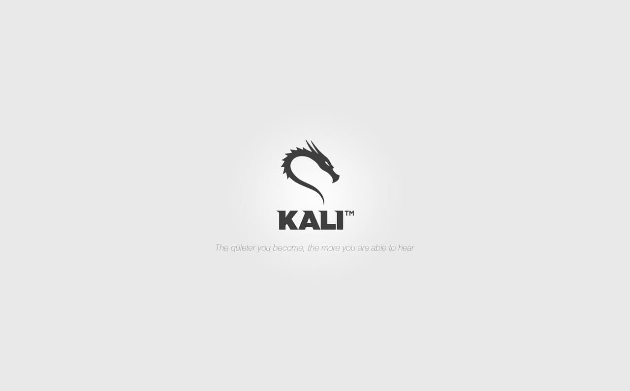 Kali Linux 2025.1a